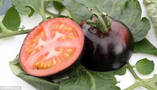 Vỏ của cà chua đen có màu đen, song phần thịt quả vẫn giữ màu đỏ