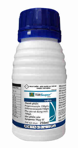 dùng thuốc Tilt-super xử lý nuôi trái dưa hấu bằng cách hãm đọt
