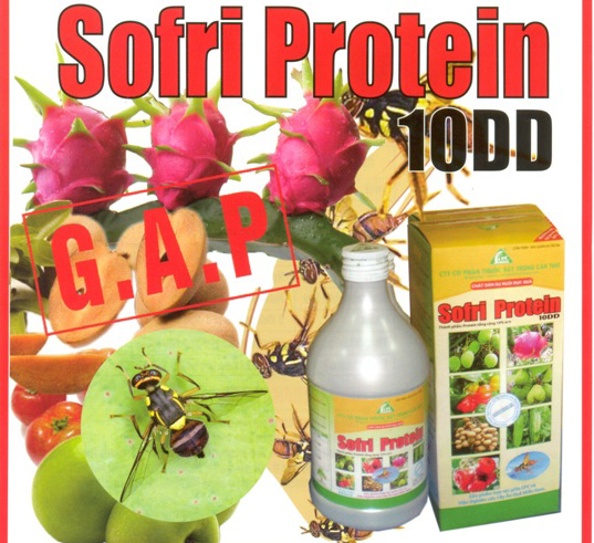 Sorfi Protein diệt trừ ruồi đục quả